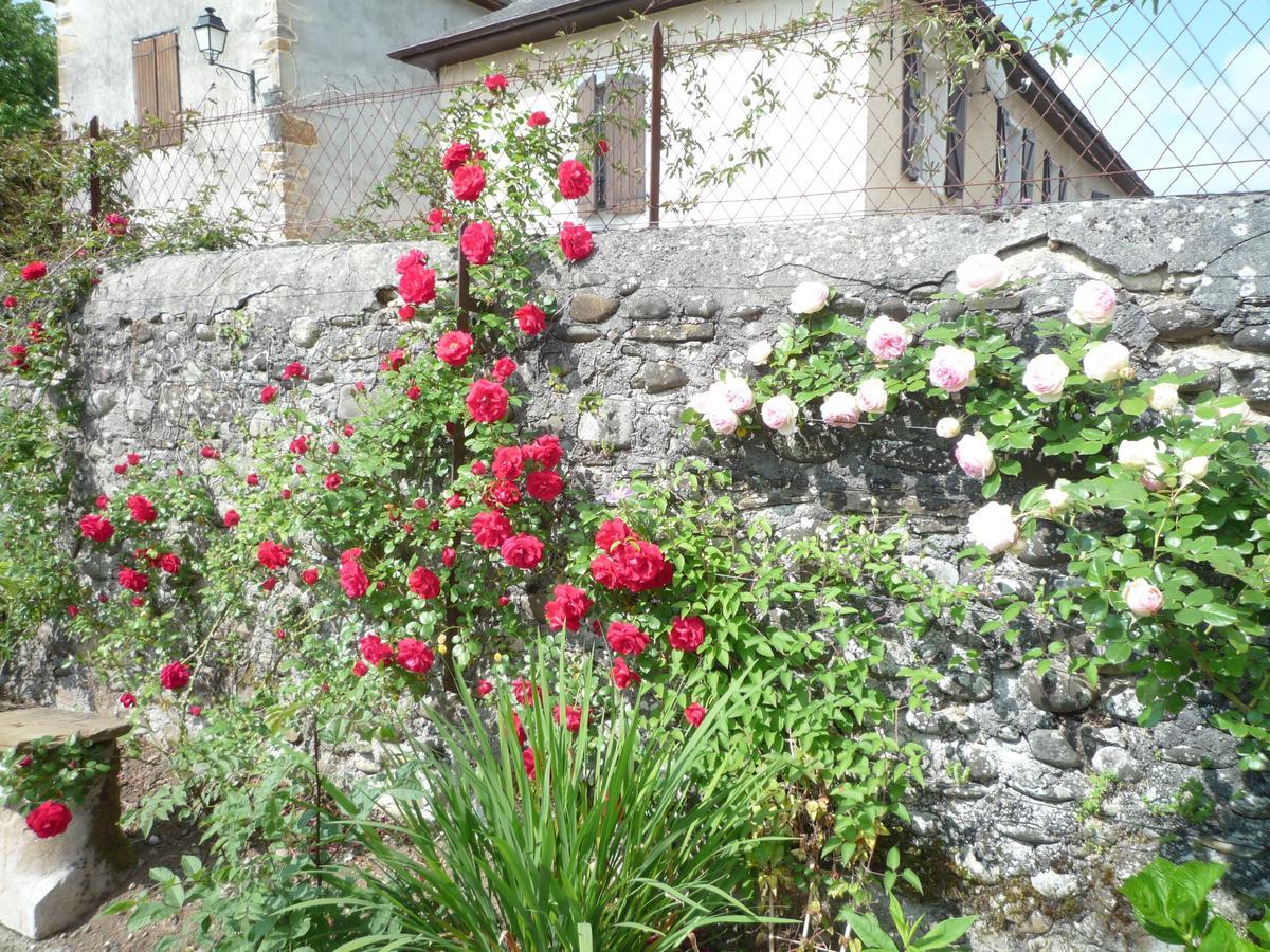 Bearn Bed & Breakfast Pau Eksteriør bilde